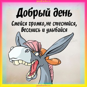 Веселая открытка добрый день