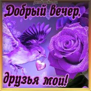 Картинка добрый вечер друзья мои с птичкой и розой