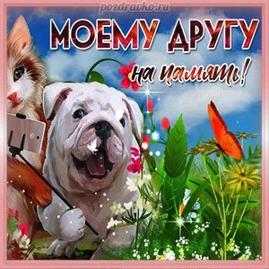Открытка моему другу на память с собачкой и котенком