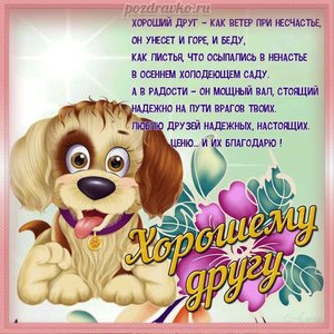 Картинка хорошему другу с собачкой и пожеланием