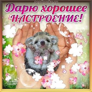 Открытка дарю хорошее настроение
