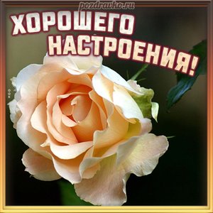 Картинка доброго и хорошего настроения