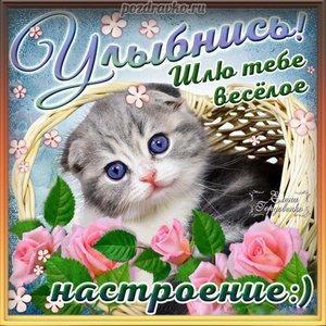 Открытка хорошего настроения улыбнись