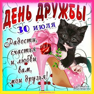 Открытки на день дружбы с котиком