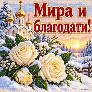 Открытка «Мира и благодати!» с белыми розами