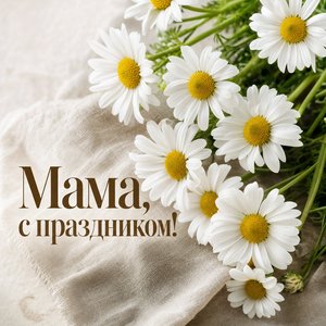 Открытка на День матери с полевыми ромашками
