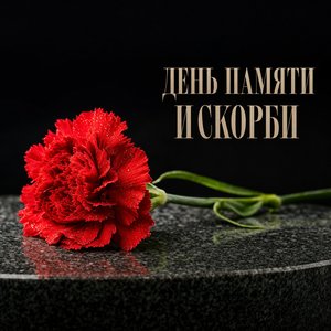Открытка на День памяти и скорби с красной гвоздикой