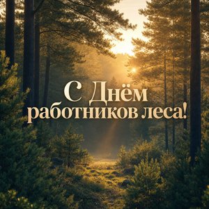 Открытка на День работников леса и лесоперерабатывающей промышленности с сосновым лесом в тумане