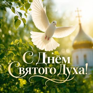Открытка на День Святого Духа с белым голубем