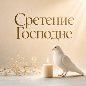 Открытка на Сретение Господне с белым голубем и свечой