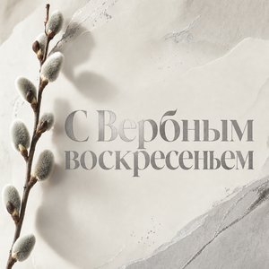 Открытка на Вербное воскресенье с одной веточкой вербы