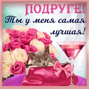 Открытка подруге с цветами, бокалом и котенком