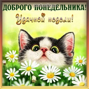 Открытка доброго понедельника и удачной недели