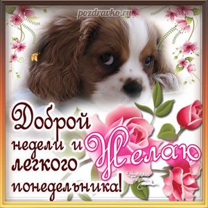 Открытка доброй недели и легкого понедельника