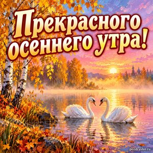 Открытка «Прекрасного осеннего утра!» с лебедями на осеннем озере