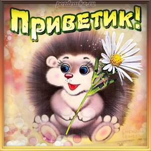 Открытка привет приветик с ежиком и ромашкой