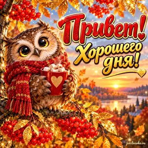 Открытка «Привет! Хорошего дня!» с совой и какао