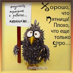 Прикольная открытка на пятницу с добрым утром пятницы