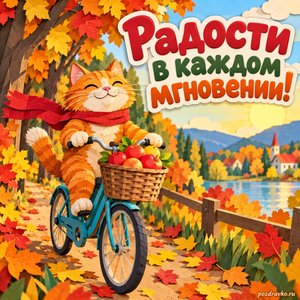Открытка «Радости в каждом мгновении!» с котом на велосипеде