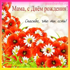 Мама, с Днем рождения!