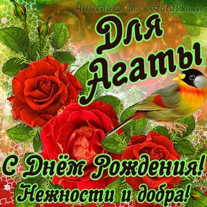 Открытка для Агаты с Днем рождения с пожеланием нежности и добра