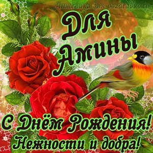Открытка для Амины с Днем рождения с пожеланием нежности и добра
