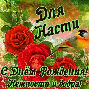Открытка для Анастасии с Днем рождения с пожеланием нежности и добра