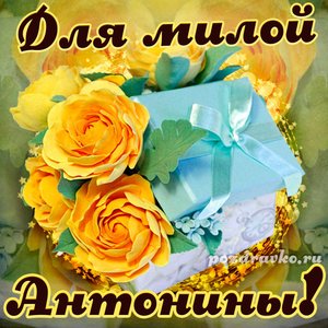 Открытка для милой Антонины с подарком и цветами