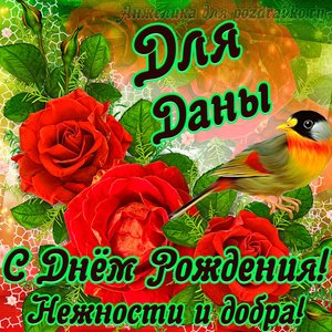 Открытка для Даны с Днем рождения с пожеланием нежности и добра