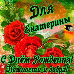 Открытка для Екатерины с Днем рождения с пожеланием нежности и добра