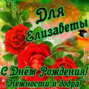 Открытка для Елизаветы с Днем рождения с пожеланием нежности и добра