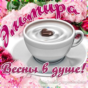 Открытка Эльмире на День Рождения с пожеланием весны в душе