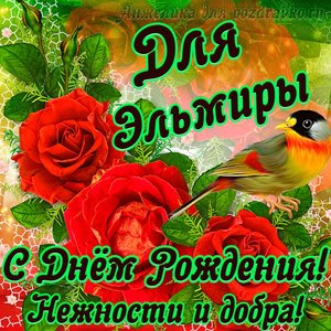 Открытка для Эльмиры с Днем рождения с пожеланием нежности и добра