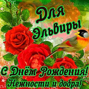 Открытка для Эльвиры с Днем рождения с пожеланием нежности и добра