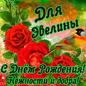 Открытка для Эвелины с Днем рождения с пожеланием нежности и добра