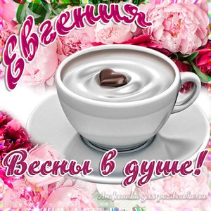 Открытка Евгении на День Рождения с пожеланием весны в душе