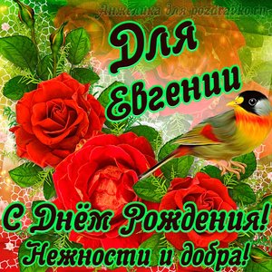 Открытка для Евгении с Днем рождения с пожеланием нежности и добра