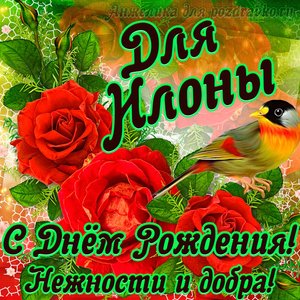 Открытка для Илоны с Днем рождения с пожеланием нежности и добра