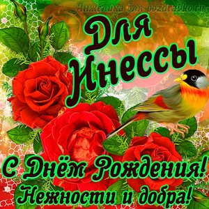 Открытка для Инессы с Днем рождения с пожеланием нежности и добра