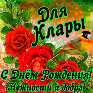 Открытка для Клары с Днем рождения с пожеланием нежности и добра