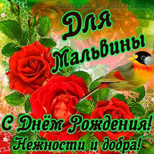 Открытка для Мальвины с Днем рождения с пожеланием нежности и добра