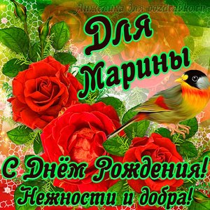 Открытка для Марины с Днем рождения с пожеланием нежности и добра