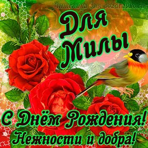 Открытка для Милы с Днем рождения с пожеланием нежности и добра