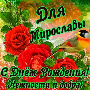 Открытка для Мирославы с Днем рождения с пожеланием нежности и добра