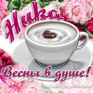 Открытка Нике на День Рождения с пожеланием весны в душе