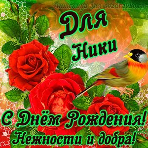 Открытка для Ники с Днем рождения с пожеланием нежности и добра