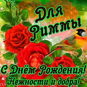 Открытка для Риммы с Днем рождения с пожеланием нежности и добра