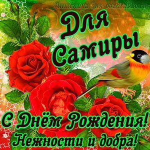 Открытка для Самиры с Днем рождения с пожеланием нежности и добра