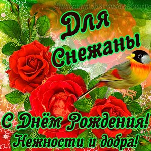 Открытка для Снежаны с Днем рождения с пожеланием нежности и добра