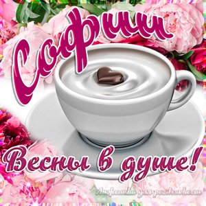 Открытка Софии на День Рождения с пожеланием весны в душе